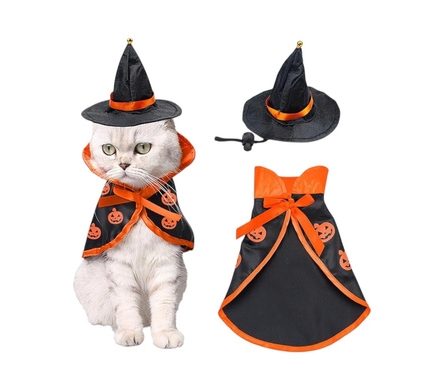 კატის Halloween კოსტუმი