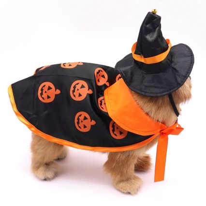 halloween კოსტუმი